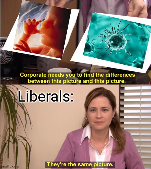 Libs think babies are parasites | Liberals: | image tagged in memes,they're the same picture,liberals,liberal logic | made w/ Imgflip meme maker