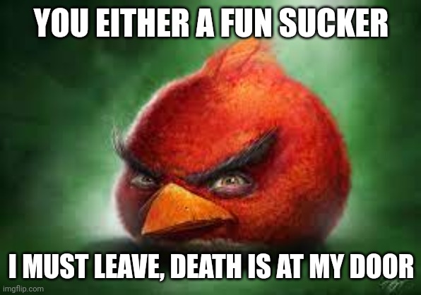 Realistic Red Angry Birds | YOU EITHER A FUN SUCKER; I MUST LEAVE, DEATH IS AT MY DOOR | image tagged in realistic red angry birds | made w/ Imgflip meme maker