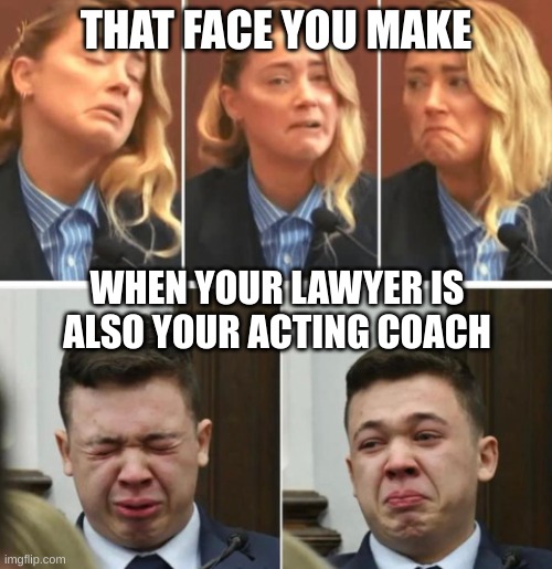 When lying on the stand goes wrong | THAT FACE YOU MAKE; WHEN YOUR LAWYER IS ALSO YOUR ACTING COACH | image tagged in amber heard,kyle rittenhouse | made w/ Imgflip meme maker