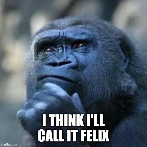 Thinking ape | I THINK I'LL CALL IT FELIX | image tagged in thinking ape | made w/ Imgflip meme maker