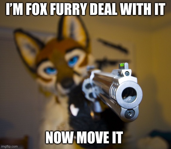 Furry with gun | I’M FOX FURRY DEAL WITH IT; NOW MOVE IT | image tagged in furry with gun | made w/ Imgflip meme maker