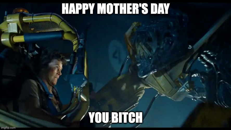 Alien Mother's Day | HAPPY MOTHER'S DAY; YOU BITCH | image tagged in mother's day,happy mother's day,alien,ripley,sigourney weaver | made w/ Imgflip meme maker