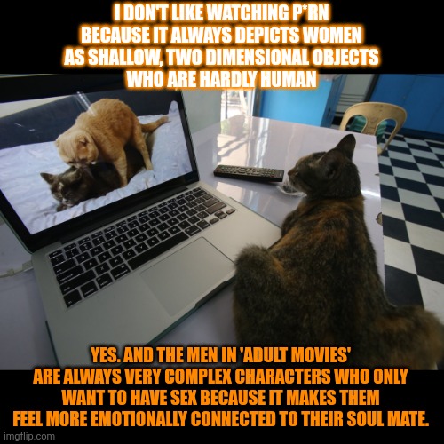 This #lolcat wonders if men and women are really treated differently in adult movies |  I DON'T LIKE WATCHING P*RN 
BECAUSE IT ALWAYS DEPICTS WOMEN 
AS SHALLOW, TWO DIMENSIONAL OBJECTS 
WHO ARE HARDLY HUMAN; YES. AND THE MEN IN 'ADULT MOVIES' ARE ALWAYS VERY COMPLEX CHARACTERS WHO ONLY WANT TO HAVE SEX BECAUSE IT MAKES THEM FEEL MORE EMOTIONALLY CONNECTED TO THEIR SOUL MATE. | image tagged in lolcat,porn,sex,equal rights | made w/ Imgflip meme maker