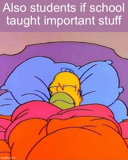 Homer Napping | Also students if school taught important stuff | image tagged in homer napping | made w/ Imgflip meme maker