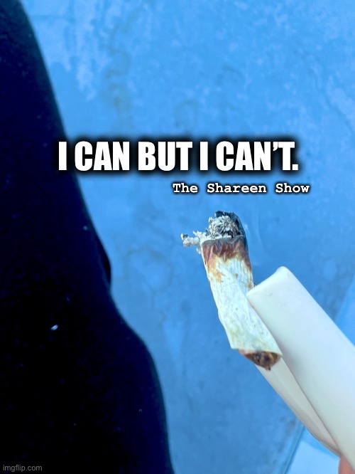 Try again | I CAN BUT I CAN’T. The Shareen Show | image tagged in memes,funny memes,addiction,strengthquotes,lifequotes | made w/ Imgflip meme maker