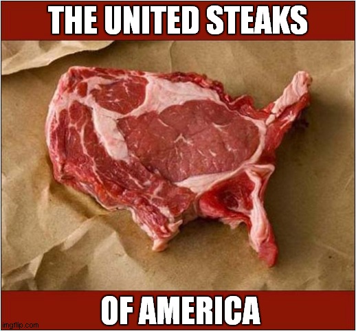 We Salute You !.. |  THE UNITED STEAKS; OF AMERICA | image tagged in united states of america,steaks,visual pun,front page | made w/ Imgflip meme maker