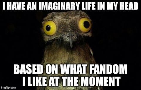 I HAVE AN IMAGINARY LIFE IN MY HEAD BASED ON WHAT FANDOM I LIKE AT THE MOMENT | image tagged in potoo,AdviceAnimals | made w/ Imgflip meme maker