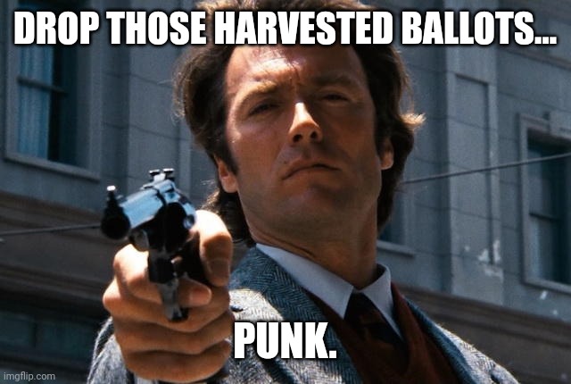 Drop em. | DROP THOSE HARVESTED BALLOTS... PUNK. | image tagged in memes | made w/ Imgflip meme maker