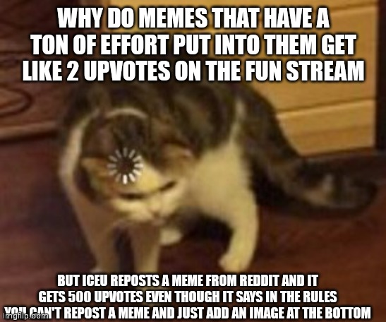 Loading cat | WHY DO MEMES THAT HAVE A TON OF EFFORT PUT INTO THEM GET LIKE 2 UPVOTES ON THE FUN STREAM; BUT ICEU REPOSTS A MEME FROM REDDIT AND IT GETS 500 UPVOTES EVEN THOUGH IT SAYS IN THE RULES YOU CAN'T REPOST A MEME AND JUST ADD AN IMAGE AT THE BOTTOM | image tagged in loading cat | made w/ Imgflip meme maker