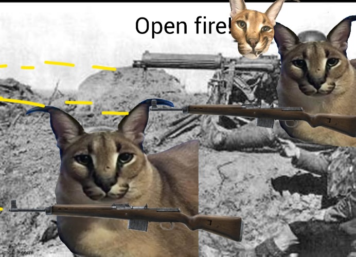 Opening fire at MSMG troops | made w/ Imgflip meme maker