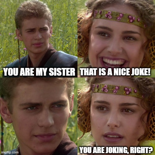 Anakin padma 4 panel | YOU ARE MY SISTER; THAT IS A NICE JOKE! YOU ARE JOKING, RIGHT? | image tagged in anakin padme 4 panel,memes,funny memes | made w/ Imgflip meme maker