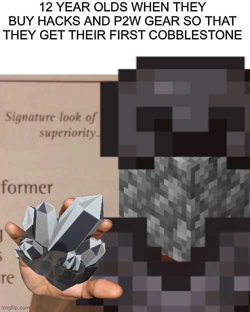 pay to win is bad | 12 YEAR OLDS WHEN THEY BUY HACKS AND P2W GEAR SO THAT THEY GET THEIR FIRST COBBLESTONE | image tagged in signature look of superiority | made w/ Imgflip meme maker
