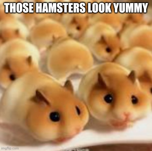 THOSE HAMSTERS LOOK YUMMY | made w/ Imgflip meme maker