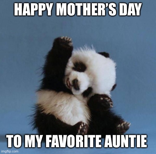 Happy Mothers Day Auntie | HAPPY MOTHER’S DAY; TO MY FAVORITE AUNTIE | image tagged in panda | made w/ Imgflip meme maker