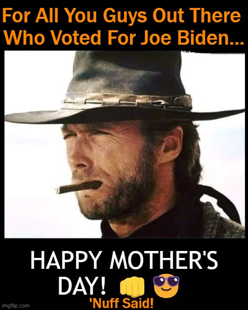 And 'THUMBS UP' to All You Guys Who Didn't! | For All You Guys Out There 
Who Voted For Joe Biden... 'Nuff Said! | image tagged in political meme,liberals vs conservatives,left vs right,joe biden,mothers day,humor | made w/ Imgflip meme maker