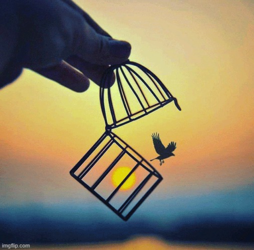 image tagged in awesome | made w/ Imgflip meme maker