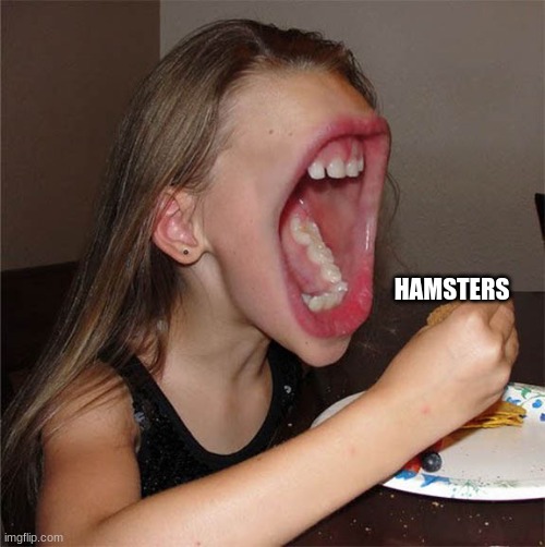Big mouth girl | HAMSTERS | image tagged in big mouth girl | made w/ Imgflip meme maker