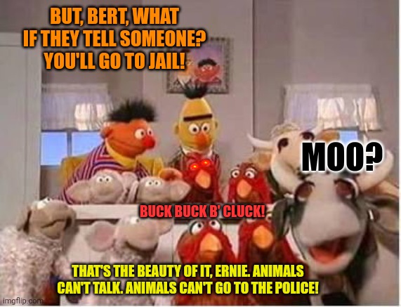 It's time to stop | BUT, BERT, WHAT IF THEY TELL SOMEONE? YOU'LL GO TO JAIL! MOO? BUCK BUCK B' CLUCK! THAT'S THE BEAUTY OF IT, ERNIE. ANIMALS CAN'T TALK. ANIMALS CAN'T GO TO THE POLICE! | image tagged in bert and ernie,sesame street,farm,fun,kinky,its time to stop | made w/ Imgflip meme maker