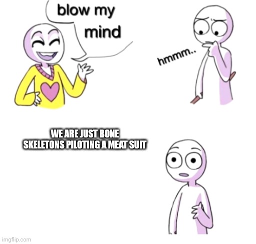 Blow my mind |  WE ARE JUST BONE SKELETONS PILOTING A MEAT SUIT | image tagged in blow my mind | made w/ Imgflip meme maker