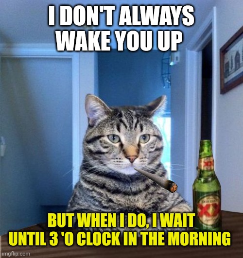 Most Interesting Cat In The World | I DON'T ALWAYS WAKE YOU UP; BUT WHEN I DO, I WAIT UNTIL 3 'O CLOCK IN THE MORNING | image tagged in most interesting cat in the world | made w/ Imgflip meme maker