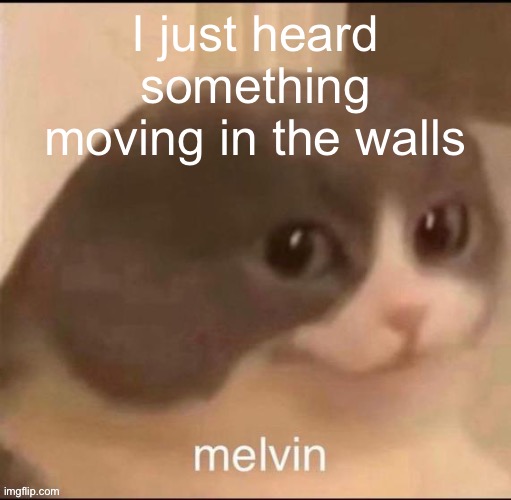 Like a rat or something | I just heard something moving in the walls | image tagged in melvin | made w/ Imgflip meme maker