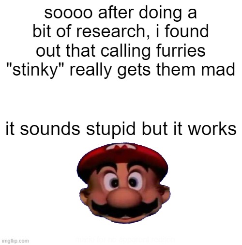 does it work tho??? | soooo after doing a bit of research, i found out that calling furries "stinky" really gets them mad; it sounds stupid but it works; mario for no apparent reason | image tagged in blank white template | made w/ Imgflip meme maker