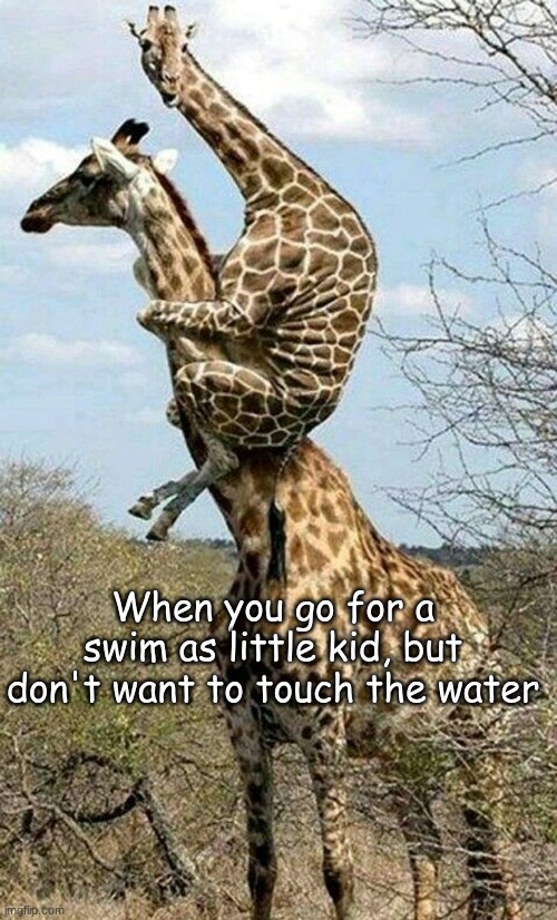 exactly | When you go for a swim as little kid, but don't want to touch the water | image tagged in girafe on girafe | made w/ Imgflip meme maker