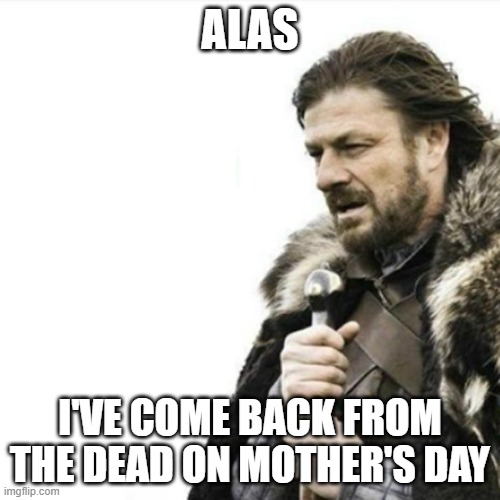 Im not dead | ALAS; I'VE COME BACK FROM THE DEAD ON MOTHER'S DAY | image tagged in oak hall fire alarm prepare yourself | made w/ Imgflip meme maker