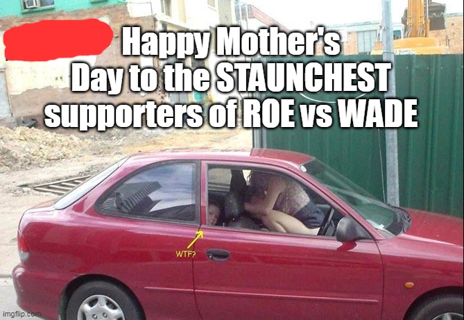 Happy "Mothers" Day | Happy Mother's Day to the STAUNCHEST supporters of ROE vs WADE | image tagged in memes,mothers day | made w/ Imgflip meme maker