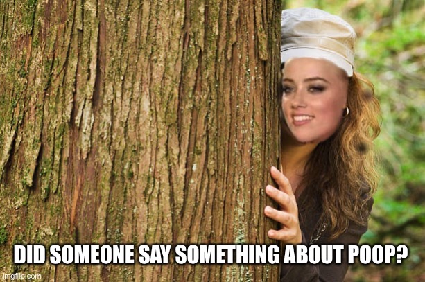 DID SOMEONE SAY SOMETHING ABOUT POOP? | made w/ Imgflip meme maker