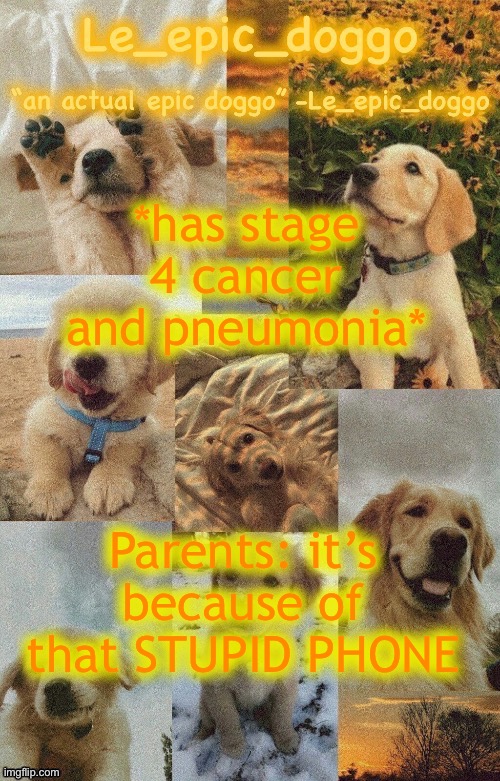 Doggo temp by doggo. Wait what that’s confusing | *has stage 4 cancer and pneumonia*; Parents: it’s because of that STUPID PHONE | image tagged in doggo temp by doggo wait what that s confusing | made w/ Imgflip meme maker