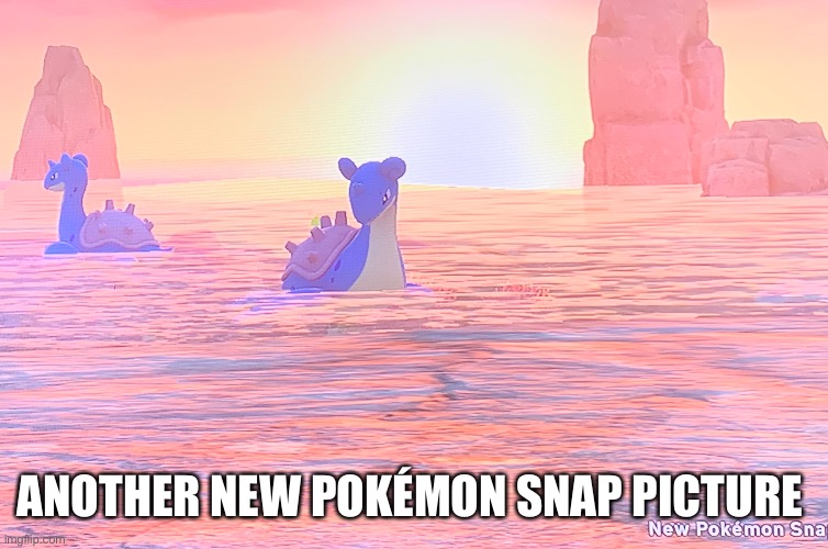 Should I become a photographer? | ANOTHER NEW POKÉMON SNAP PICTURE | made w/ Imgflip meme maker