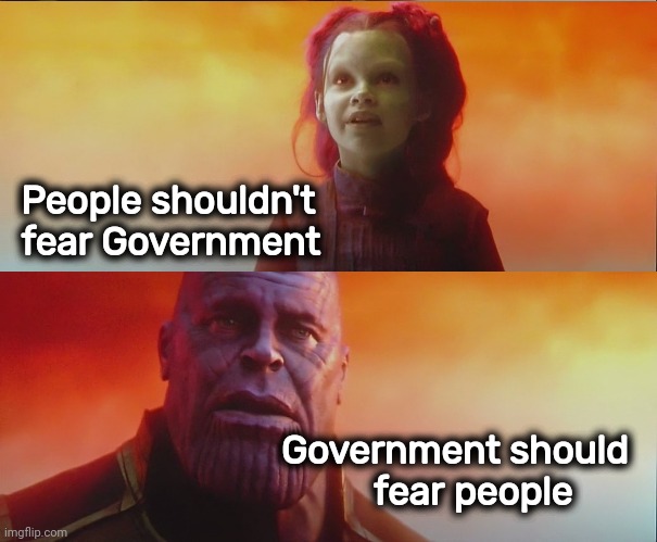 What did it cost? 2 panel | People shouldn't fear Government Government should 
fear people | image tagged in what did it cost 2 panel | made w/ Imgflip meme maker