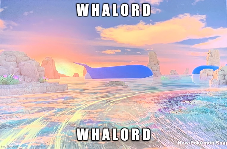 P r e t t y | W H A L O R D; W H A L O R D | made w/ Imgflip meme maker