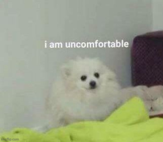 I am uncomfortable | image tagged in i am uncomfortable | made w/ Imgflip meme maker