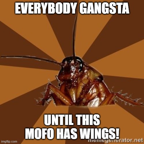 Y'all heard this one? | EVERYBODY GANGSTA; UNTIL THIS MOFO HAS WINGS! | image tagged in roach meme,roach phobia | made w/ Imgflip meme maker