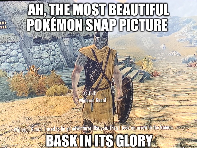 Perfect | AH, THE MOST BEAUTIFUL POKÉMON SNAP PICTURE; BASK IN ITS GLORY | made w/ Imgflip meme maker