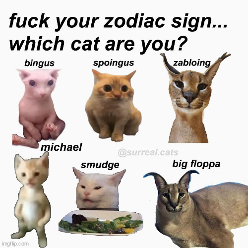 spoingus | made w/ Imgflip meme maker