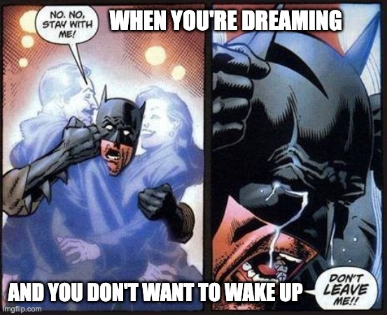 Batman don't leave me | WHEN YOU'RE DREAMING; AND YOU DON'T WANT TO WAKE UP | image tagged in batman don't leave me | made w/ Imgflip meme maker