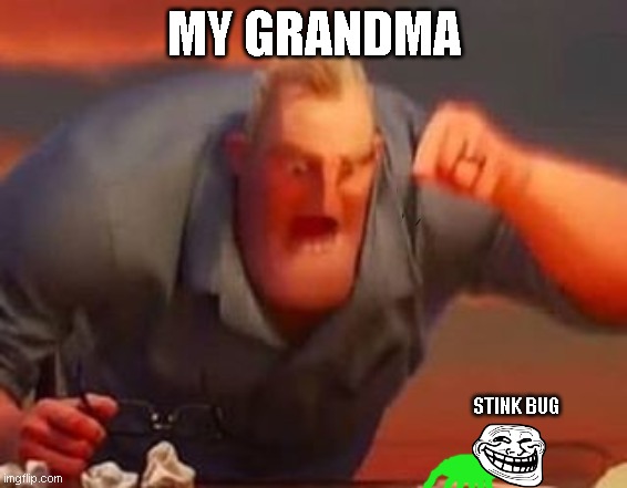 my grandma and stink bug | MY GRANDMA; STINK BUG | image tagged in mr incredible mad | made w/ Imgflip meme maker