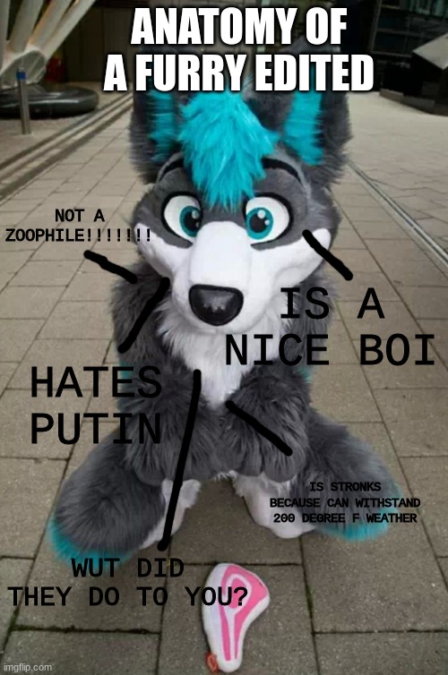 Upvote if you agree | ANATOMY OF A FURRY EDITED; NOT A ZOOPHILE!!!!!!! IS A NICE BOI; HATES PUTIN; IS STRONKS BECAUSE CAN WITHSTAND 200 DEGREE F WEATHER; WUT DID THEY DO TO YOU? | image tagged in furry,y tho | made w/ Imgflip meme maker