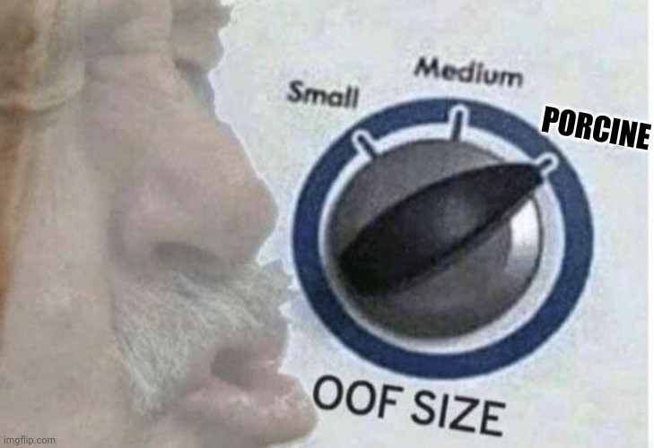 Oof size large | PORCINE | image tagged in oof size large | made w/ Imgflip meme maker