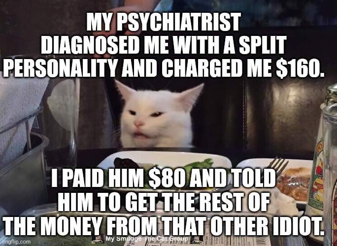MY PSYCHIATRIST DIAGNOSED ME WITH A SPLIT PERSONALITY AND CHARGED ME $160. I PAID HIM $80 AND TOLD HIM TO GET THE REST OF THE MONEY FROM THAT OTHER IDIOT. | image tagged in smudge the cat | made w/ Imgflip meme maker