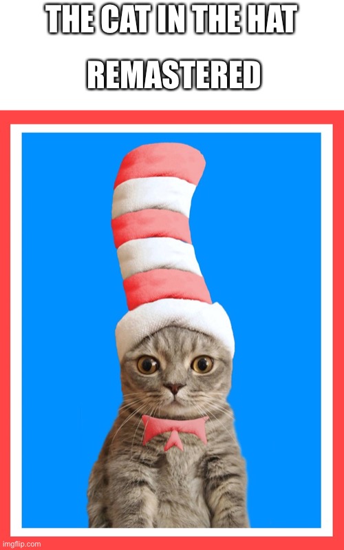 Cat in the hat | THE CAT IN THE HAT; REMASTERED | image tagged in cat in a hat,memes,cats,cute,funny,towel cat | made w/ Imgflip meme maker