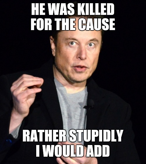 musk | HE WAS KILLED FOR THE CAUSE RATHER STUPIDLY I WOULD ADD | image tagged in musk | made w/ Imgflip meme maker