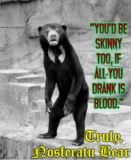 "Yogi steals, Smokey puts out fires... me, I suck blood." —Nosferatu Bear | "YOU'D BE
SKINNY
TOO, IF
ALL YOU
DRANK IS
BLOOD."; Truly,
Nosferatu Bear | image tagged in vince vance,vampires,bears,memes,anorexia,nosferatu | made w/ Imgflip meme maker