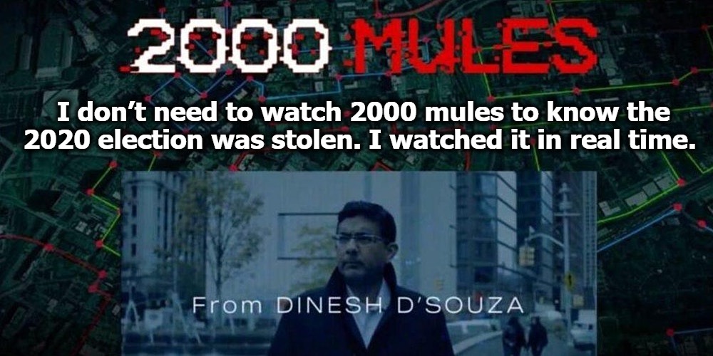 I don’t need to watch 2000 mules to know the 2020 election was stolen. | image tagged in 2000 mules,stolen election,government corruption,dinesh dsouza,election fraud,election 2020 | made w/ Imgflip meme maker