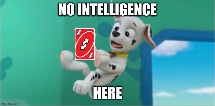 nope | NO INTELLIGENCE; HERE | image tagged in paw patrol,uno reverse card,intelligence | made w/ Imgflip meme maker