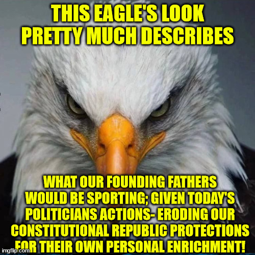 THIS EAGLE'S LOOK PRETTY MUCH DESCRIBES; WHAT OUR FOUNDING FATHERS WOULD BE SPORTING; GIVEN TODAY'S POLITICIANS ACTIONS- ERODING OUR CONSTITUTIONAL REPUBLIC PROTECTIONS FOR THEIR OWN PERSONAL ENRICHMENT! | made w/ Imgflip meme maker