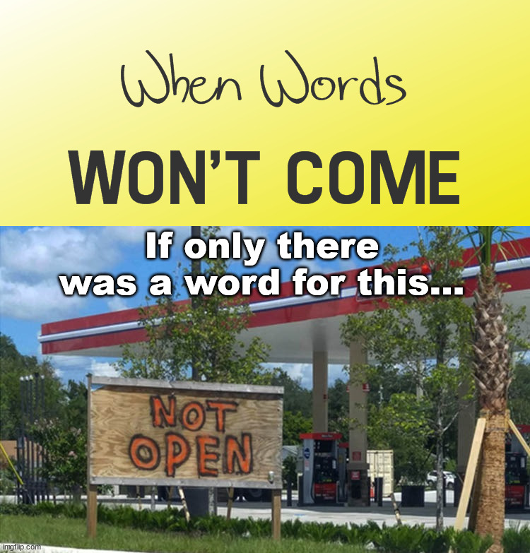 If only there was a word for this... | image tagged in you had one job | made w/ Imgflip meme maker